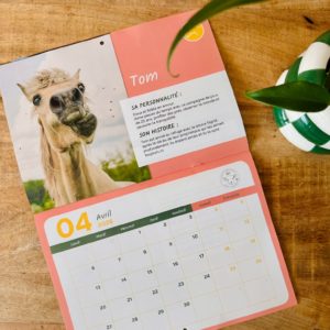 Calendrier quoi ma gueule